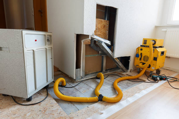 Best Mold Removal for HVAC Installations  in Village Of Four Seasons, MO